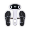 Power Stepper Terraillon