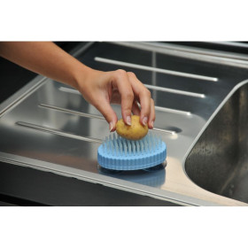 Brosse à ventouse
