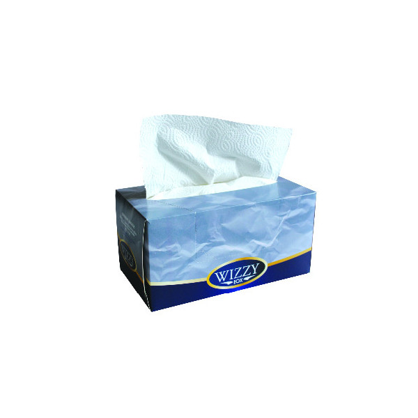 Essuie-tout Wizzy Box - carton de 15 boites