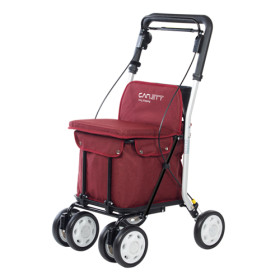 Rollator Senior Comfort Lett800-S2 de Carlett