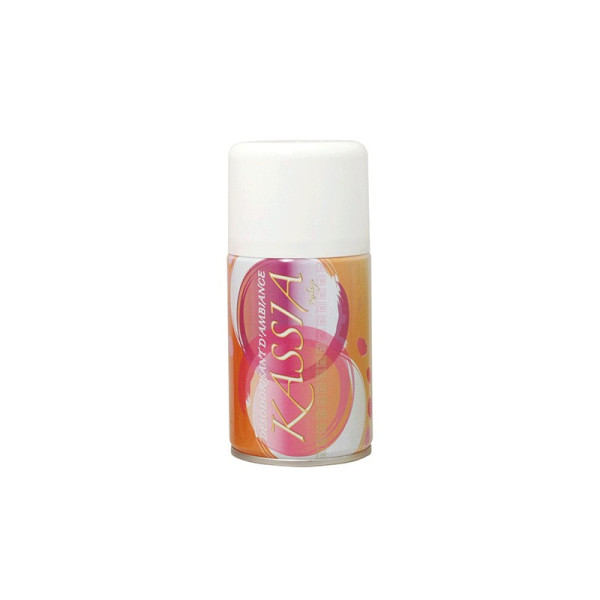 Destructeur d'odeurs - Recharge 250 ml