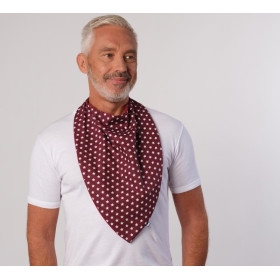 Foulard bavoir coton imprimé étoile bordeaux TU