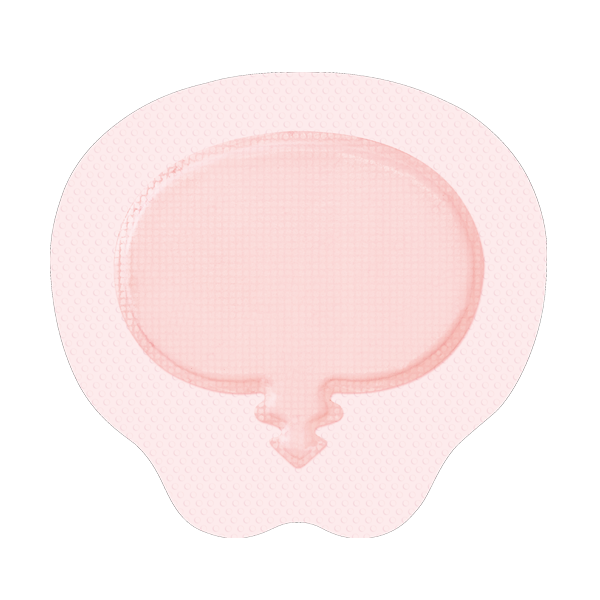 Pansement Sacrum Allevyn Gentle Border 23 x 21.6 cm