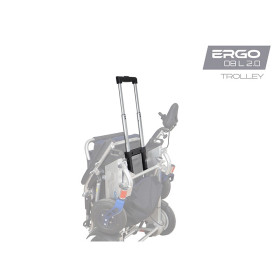 Trolley avec poignée télescopique