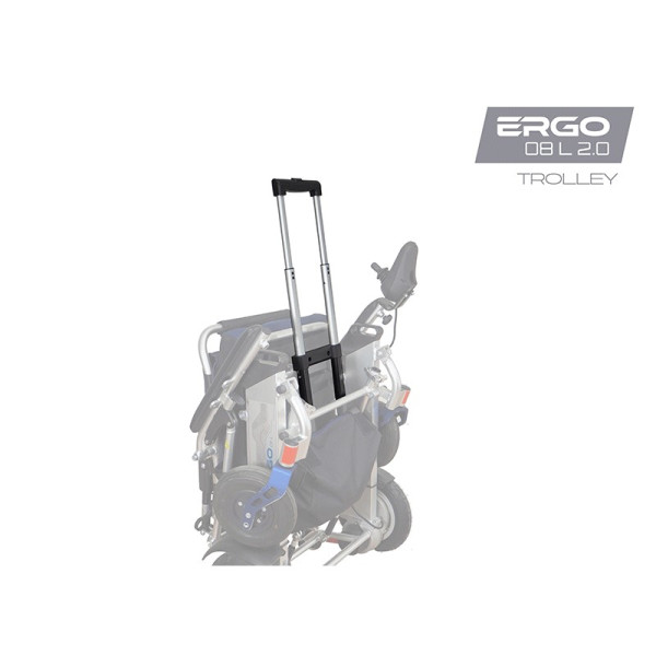 Trolley avec poignée télescopique