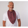 Foulard bavoir coton imprimé étoile bordeaux TU