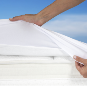 Draps housse 160X200 Blanc Dermofresh