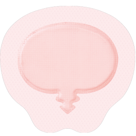 Pansement Sacrum Allevyn Gentle Border 23 x 21.6 cm