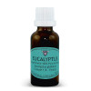 Huile Essentielle Eucalyptus globulus 30 ml