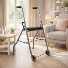 Rollator Londres 2 Roues - Pliable - Drive Devilbiss Healtcare