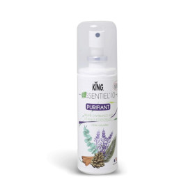 Brume purifiante aux 10 huiles essentielles - 100 ml