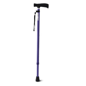 Canne T - MOOV SMART - Violet