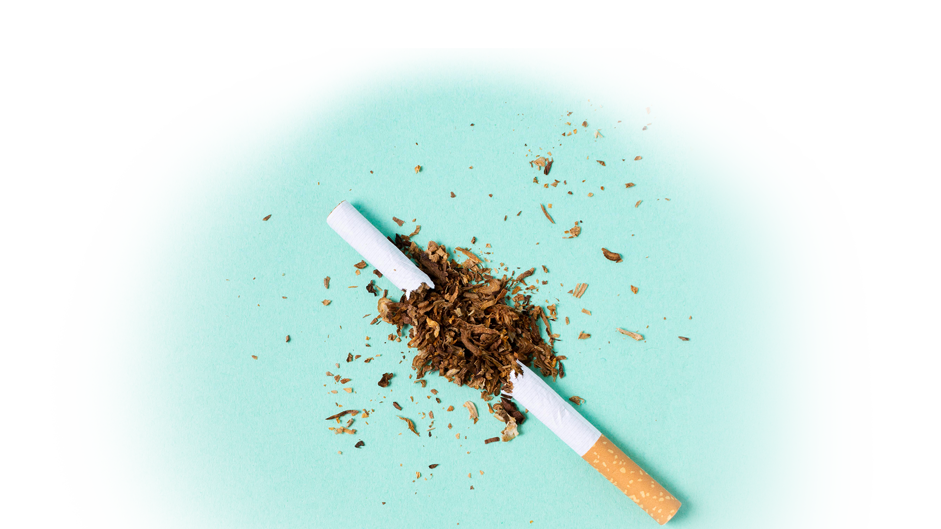 Mois-sans-tabac_header-blog-mobile-1920x1080px Mains tenant un ruban bleu et une moustache noire, symboles de Movember.