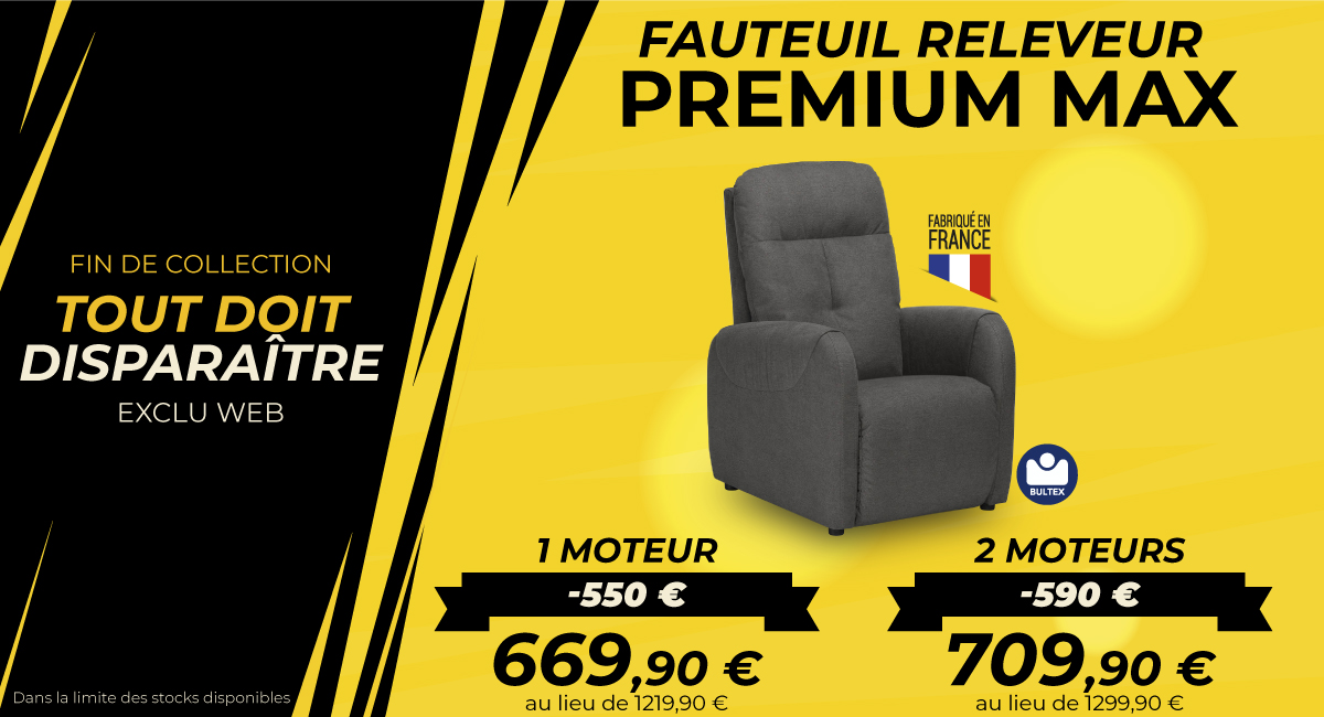 Fauteuil releveur Max Promo